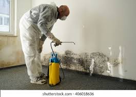 Mold Remediation for Rental Properties in Hometown, IL